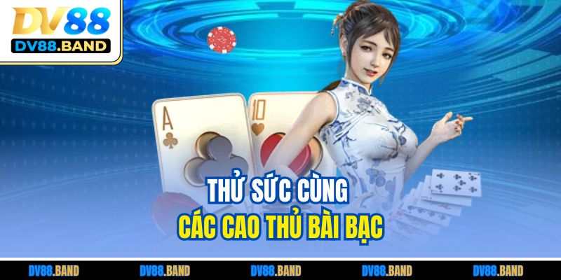 Thử sức cùng các cao thủ bài bạc